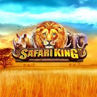 Safari King thumbnail